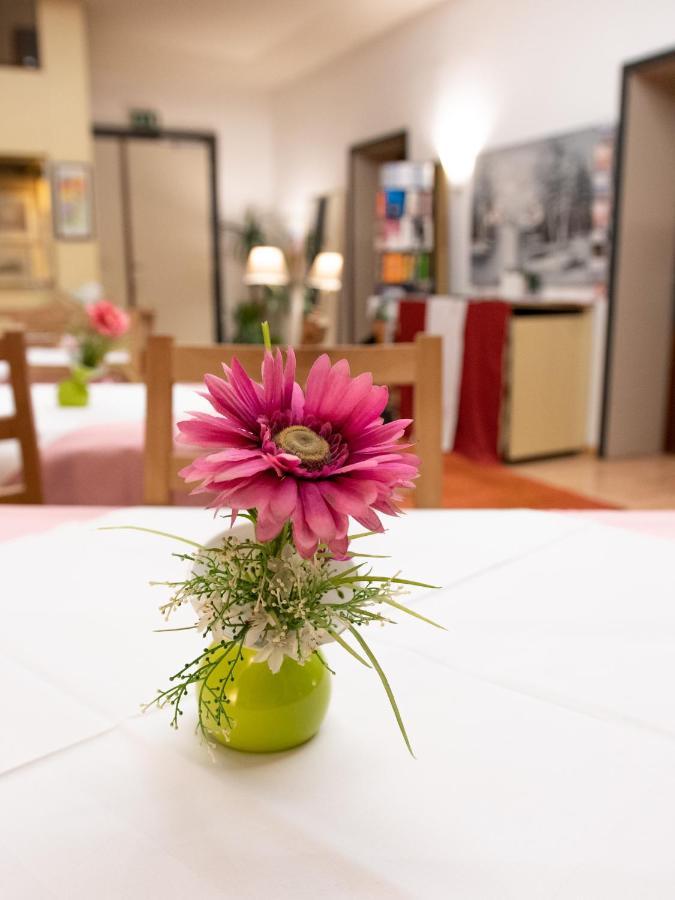 Pension Hotel Mariahilf Βιέννη Εξωτερικό φωτογραφία