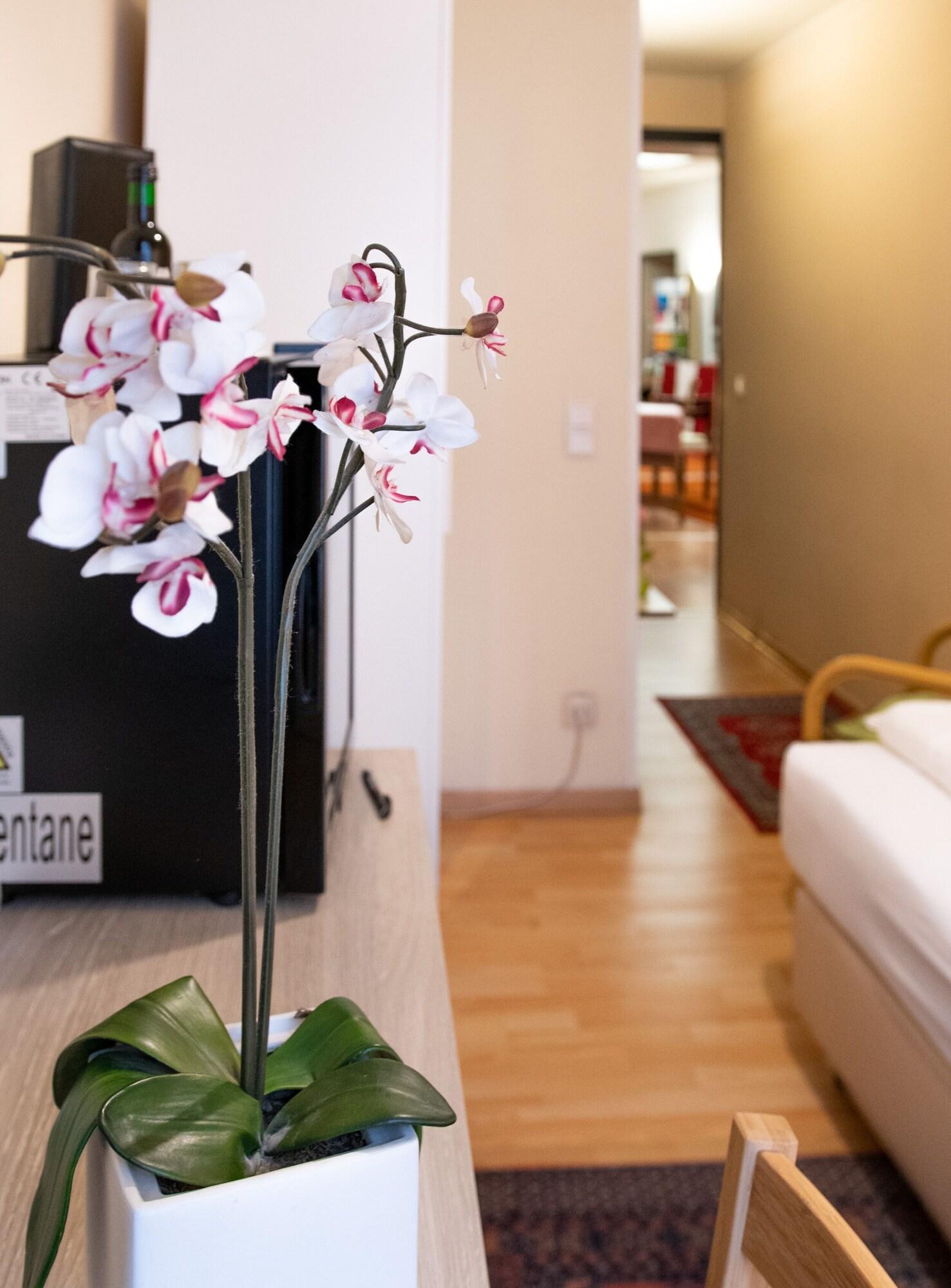 Pension Hotel Mariahilf Βιέννη Εξωτερικό φωτογραφία